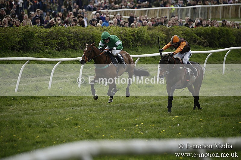 PtP 170417 186 - Old Berks Point-to-Point Lockinge 17/04/17