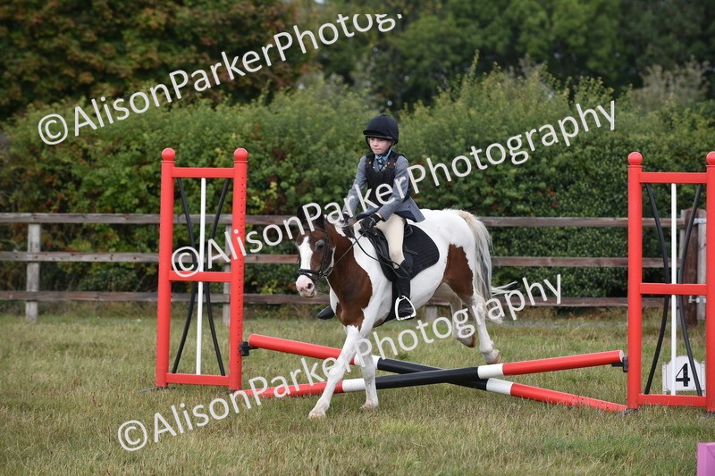 20250831-1773 - Class 8 - Hoof and Foot