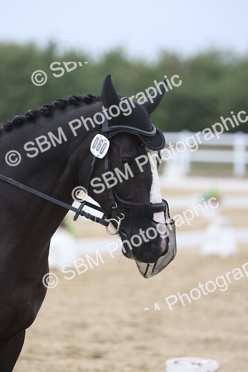 SBM_004371 - Class 9 - Novice 3 Champs