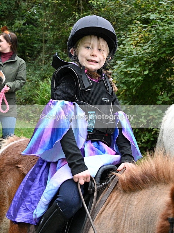 WJ7_6626 - Berks & Bucks - Children's Meet - The Old Farmhouse – Steventon.