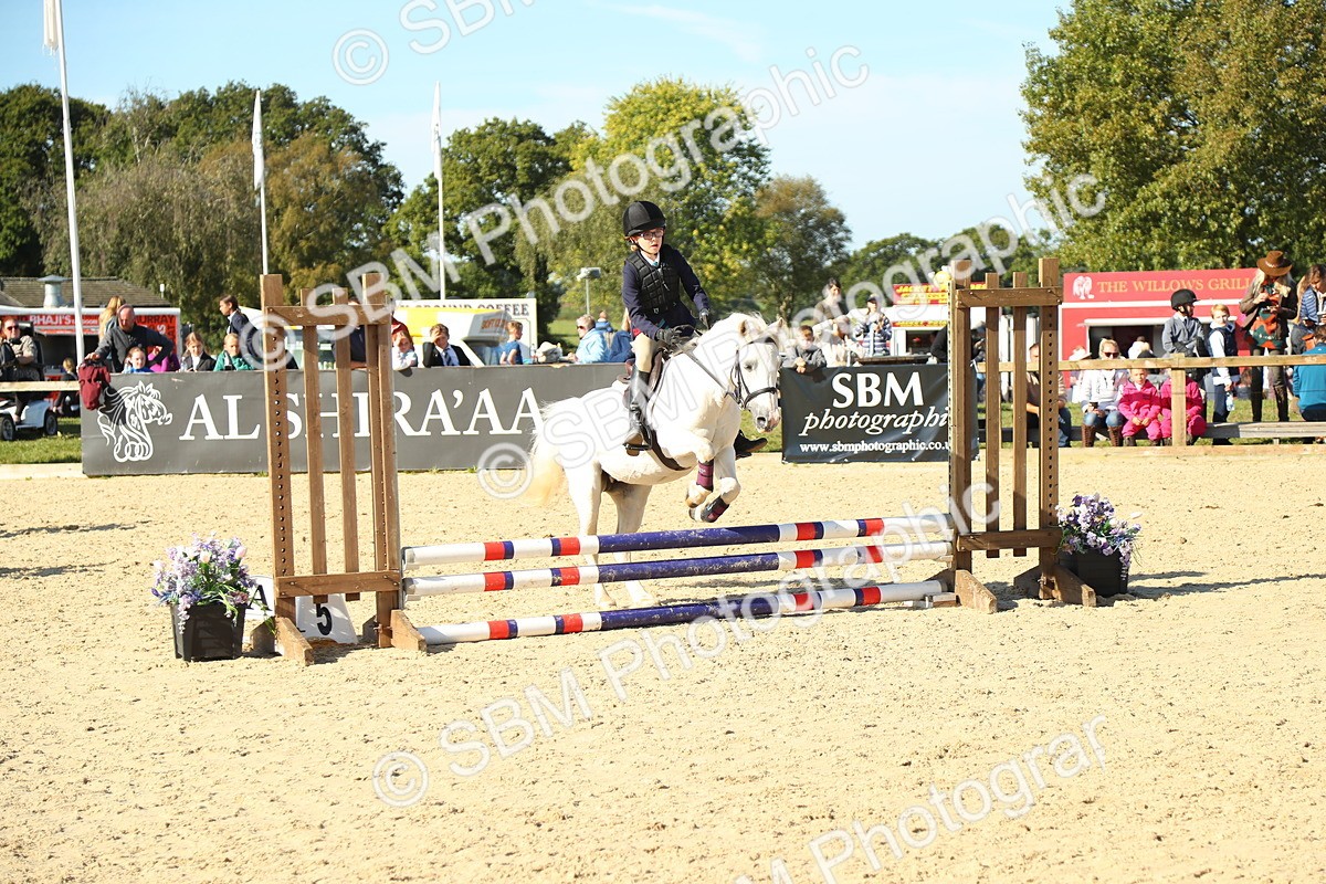 SBM_35975 - J5 - Junior Pony 50cm Championship