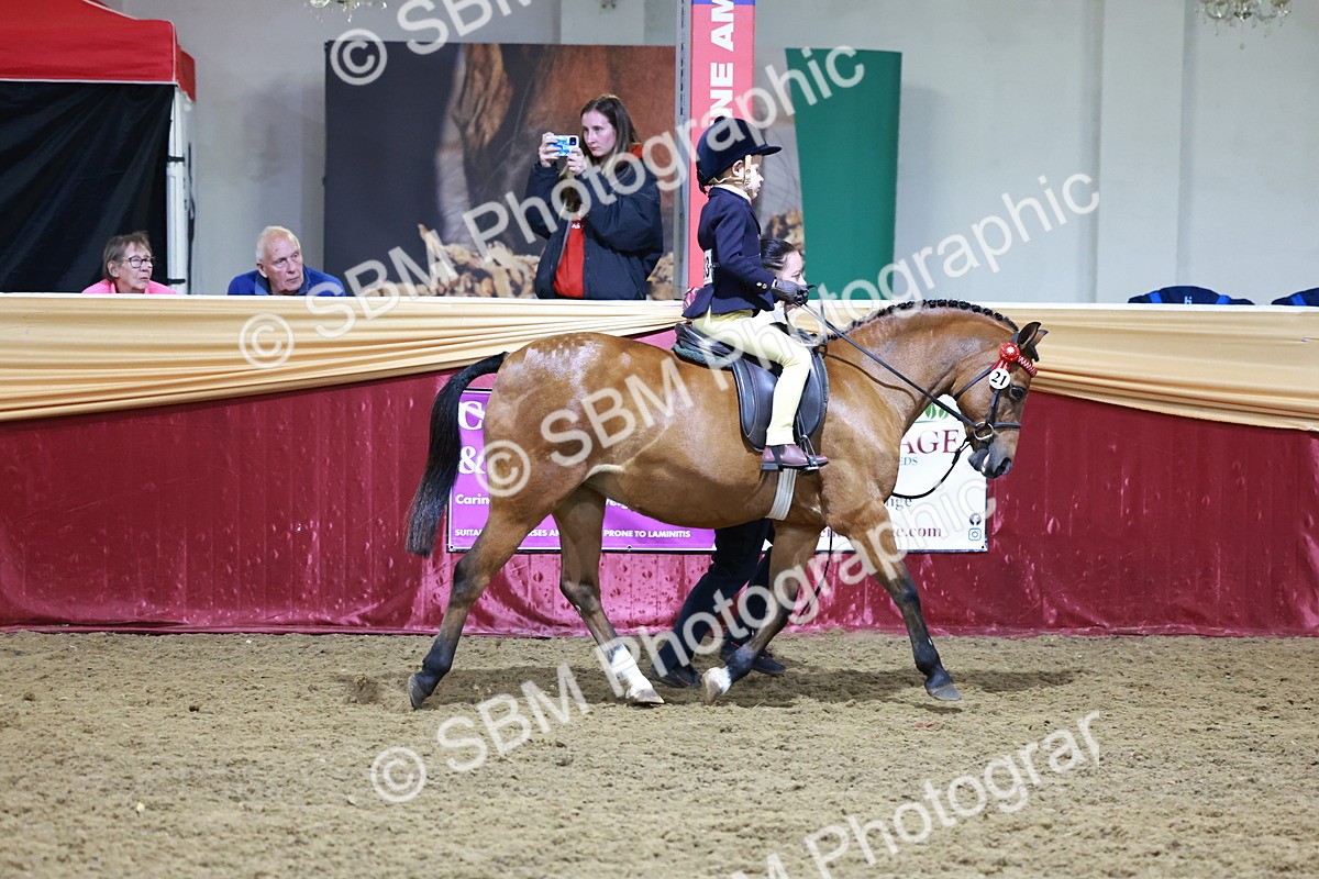 SBM_20904 - Class M - Equitation Champ