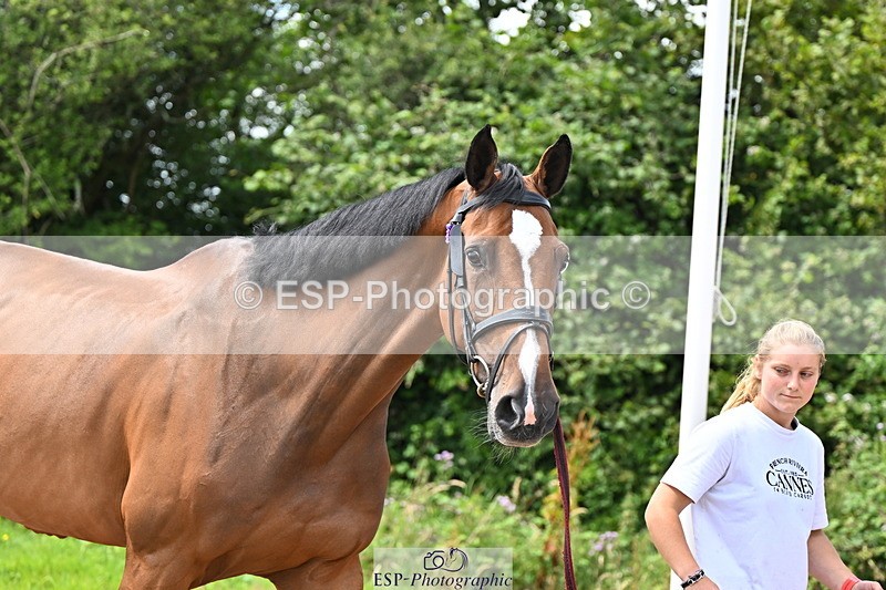 240718A-105247-01149 - Trot Up 12pm to 1pm
