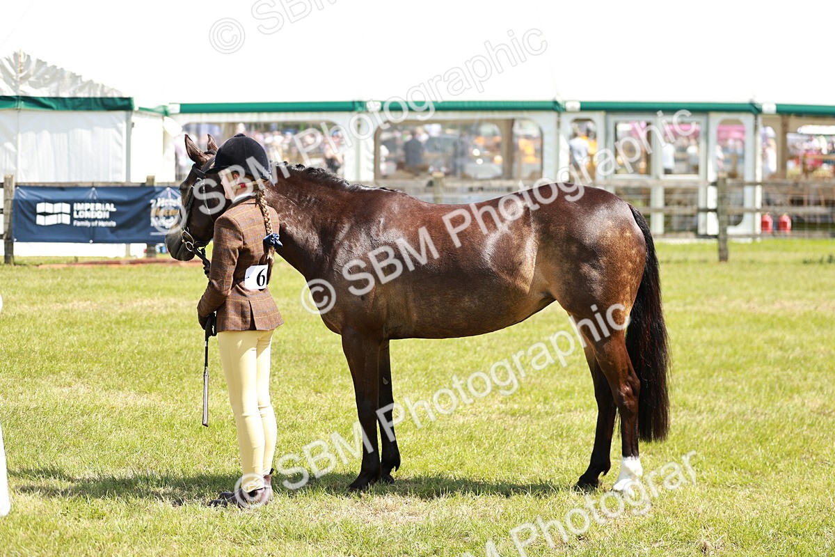 SBM_15485 - Class 108-109 - BSPS LIHS Open Gradle & Nursery Stakes