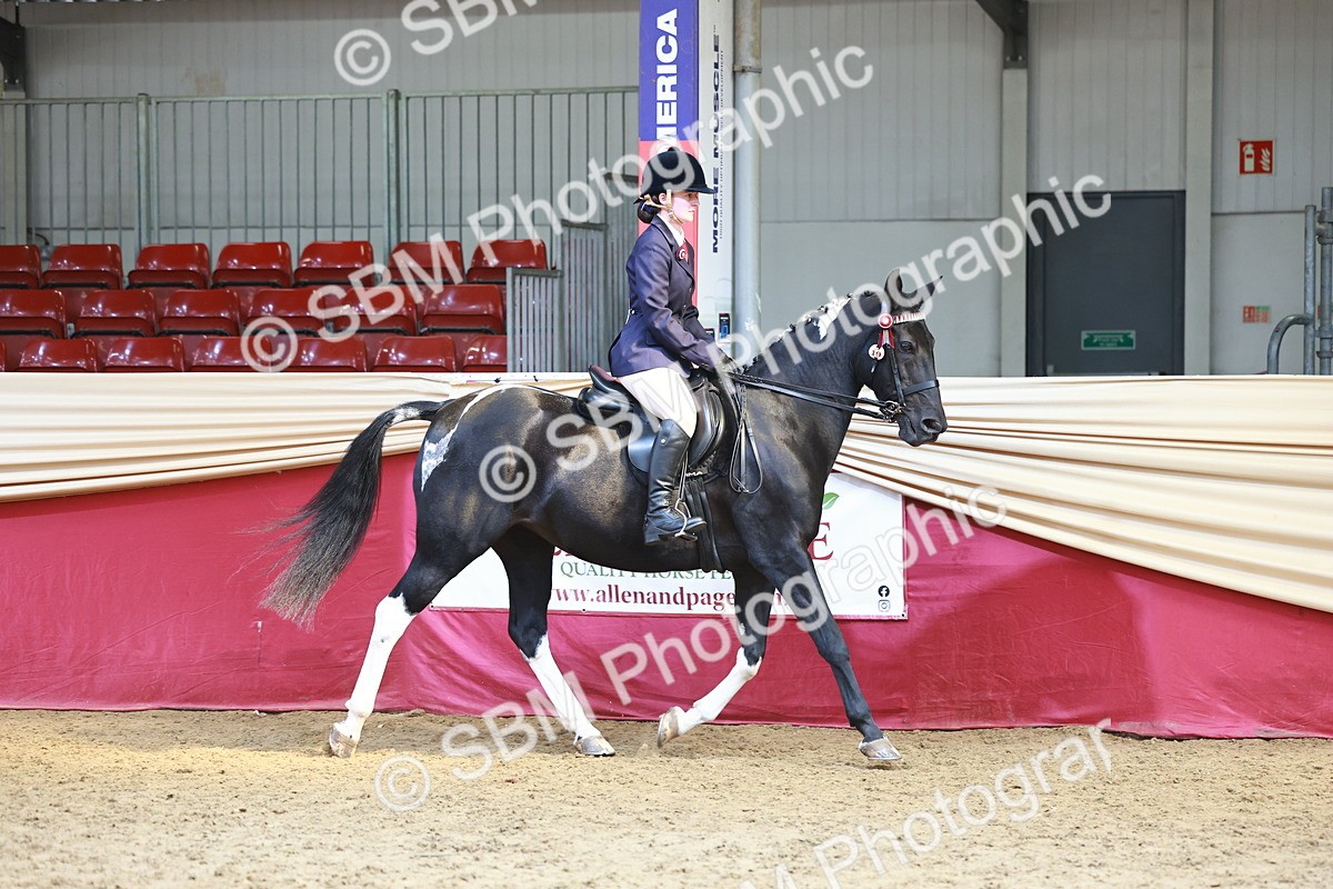 SBM_23290 - class 906 - Supreme Final - Ridden Pre Vet