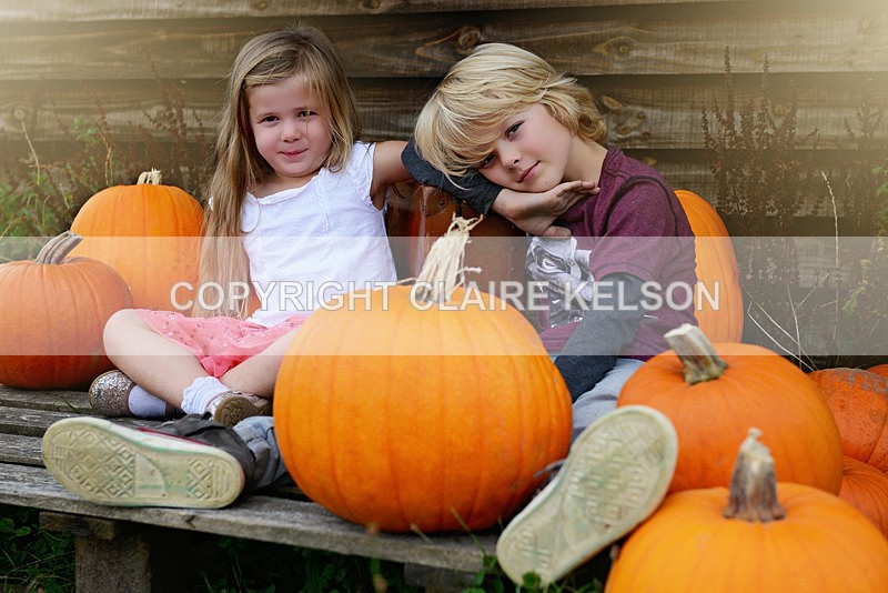 DSC_8802-5 - SEASONAL OUTDOOR SHOOTS - PUMPKINS