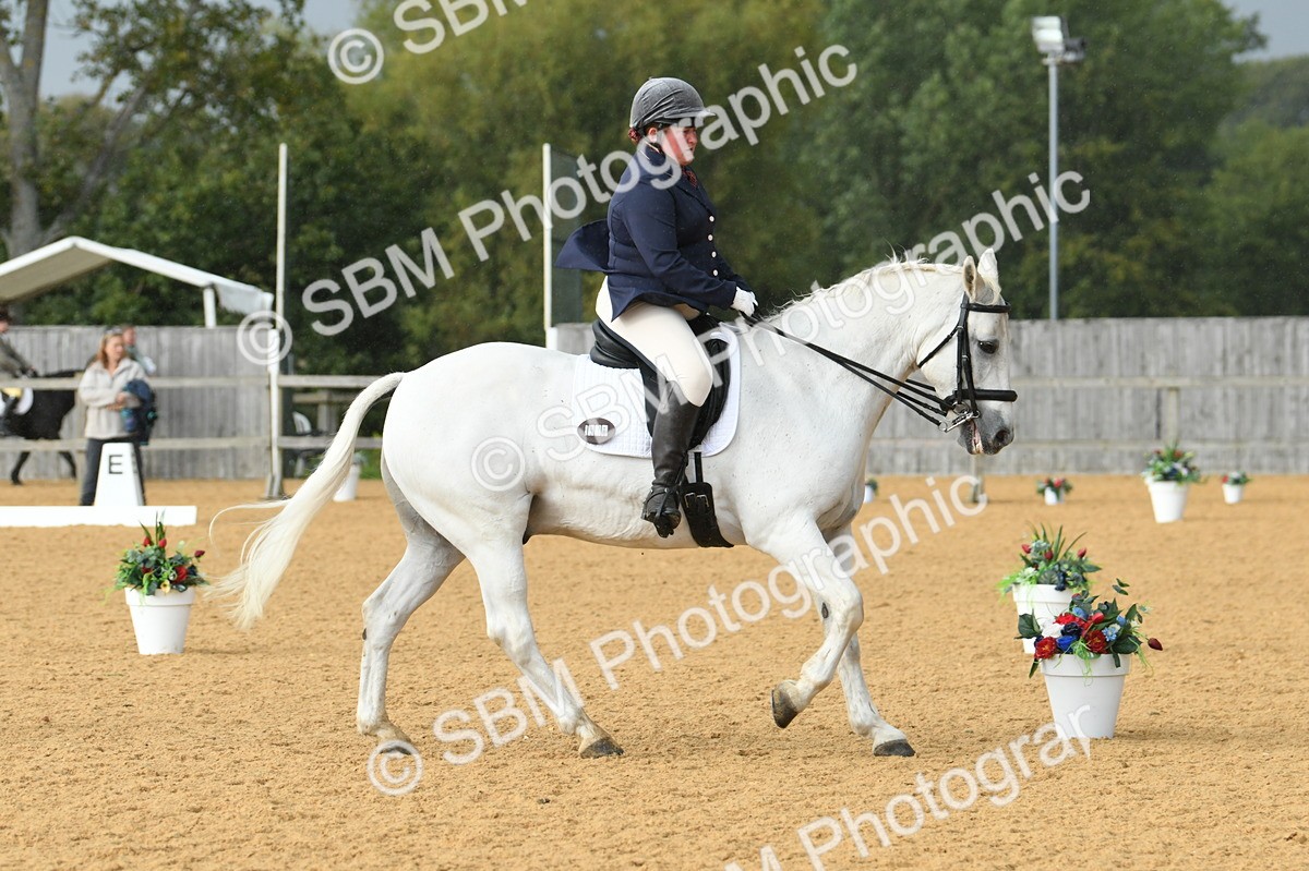 SBM_11133 - D28 Elementary Taster Elementary 42