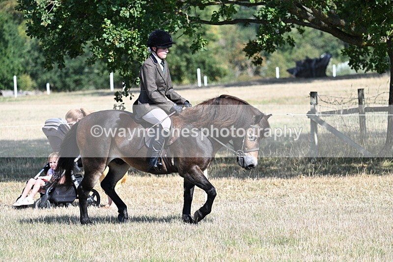 WJ7_2903 - Class 8 Ridden Tack & Turnout