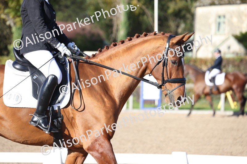 20251102-0933 - Class 5 - Elementary 5