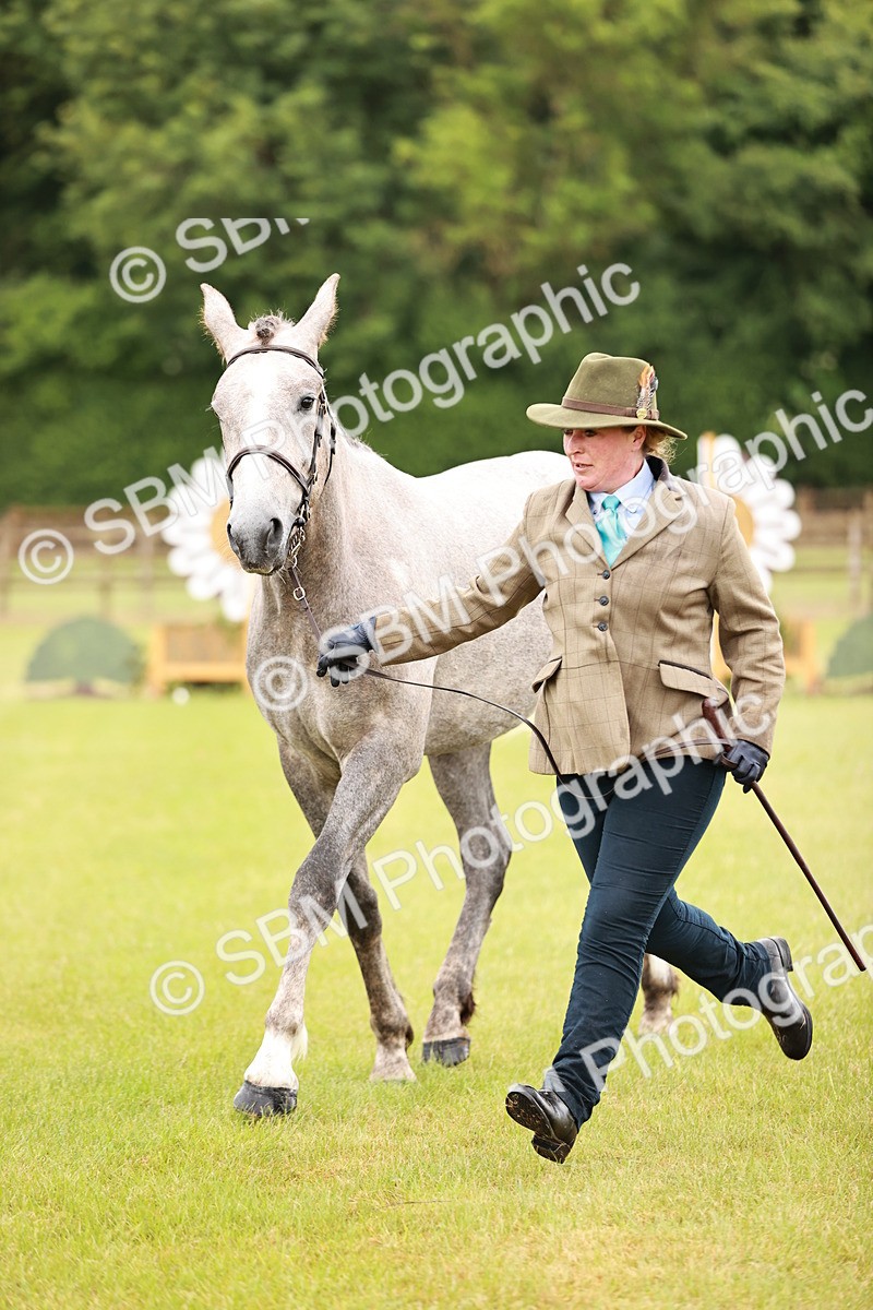 SBM_00727 - Class 26-30 Sport Horse In Hand