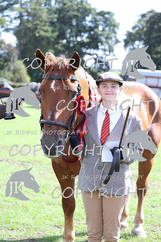 APP_3462 - Class 6 Young Handlers