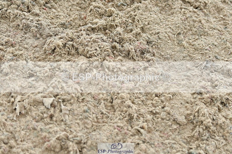 230721A-121427-06054 - Cls 18, 1 Star Silver 1.20m