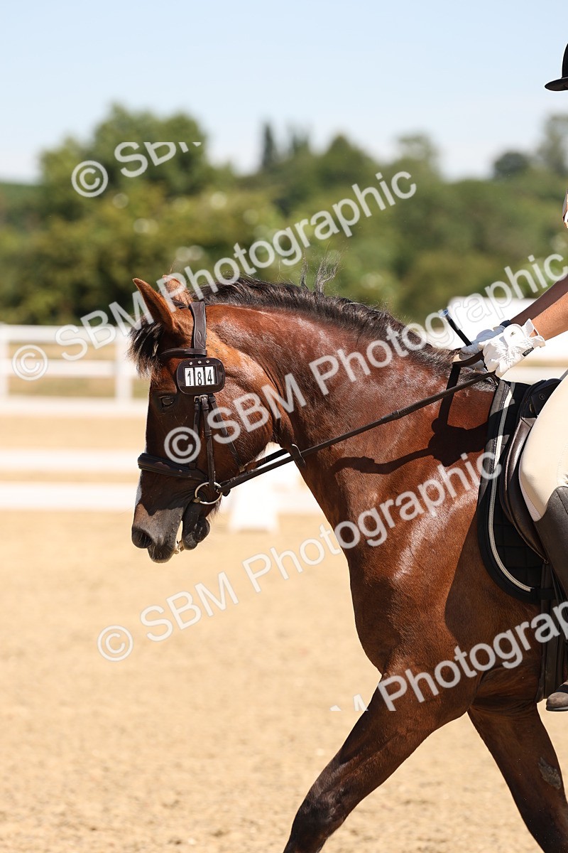 SBM_001300 - Intro 2