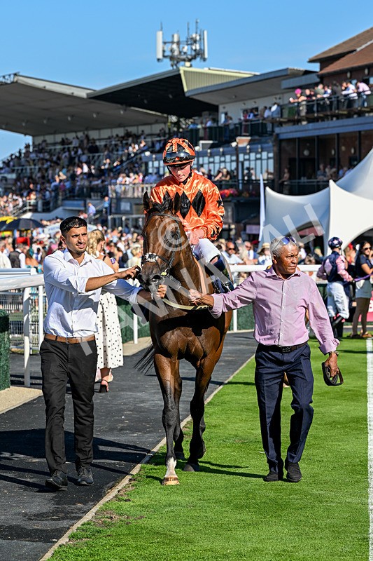 120826-Race 6-Rumble Ruby-7529 - Race 6 16.45pm Nation Radio Yorkshire Handicap