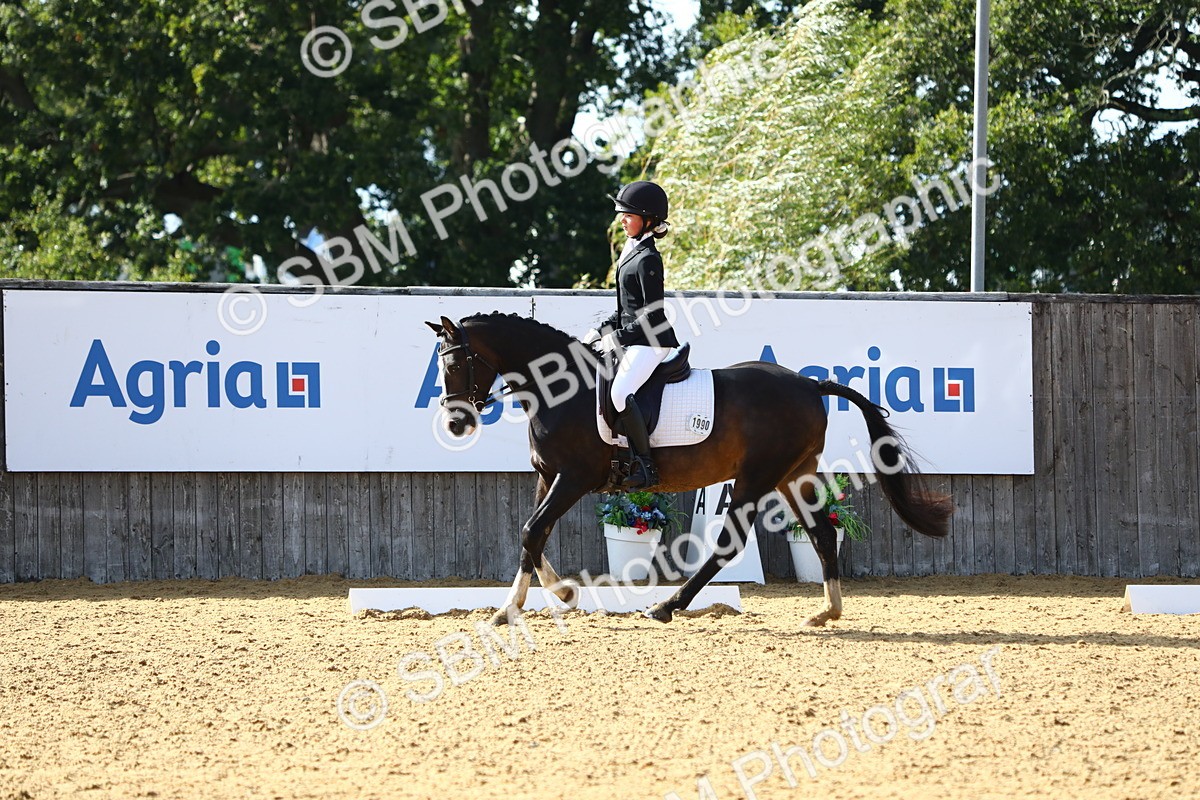 SBM_52411 - D23 - Junior Championship Prelim 1