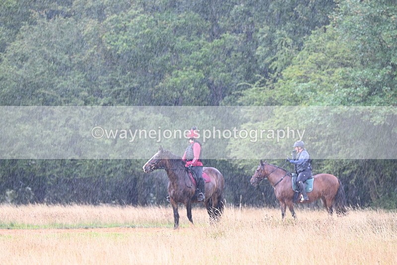 DSC_2937 - Time at Statue 12:59 to 13:49