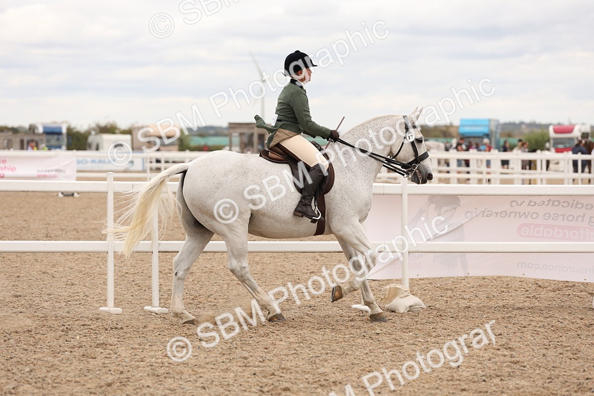 SBM_19540 - Class 215 - Ridden Show cob