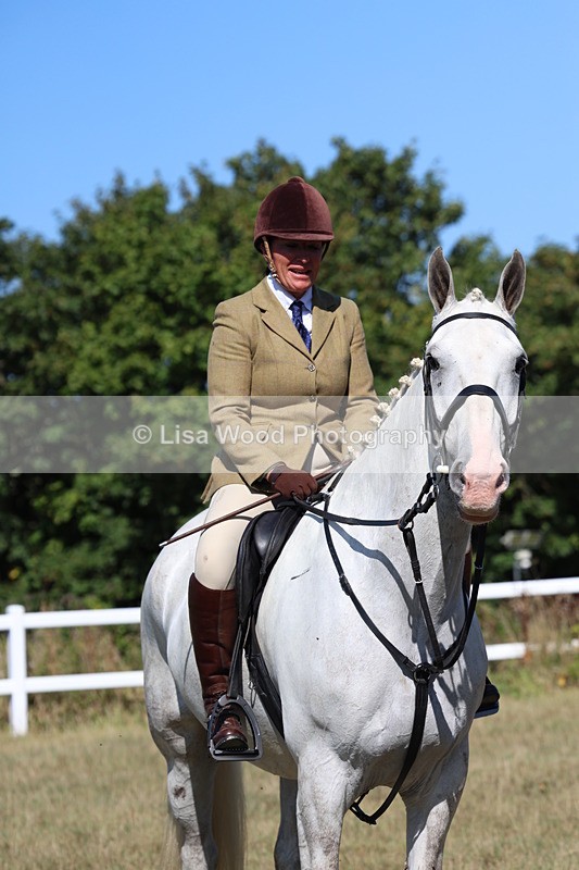 3E7A5890 - Class 5: Working Hunter 90cm