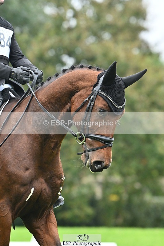 241024-144140-04344 - 584-Tommy.Greengard-I'M.ALL.IN