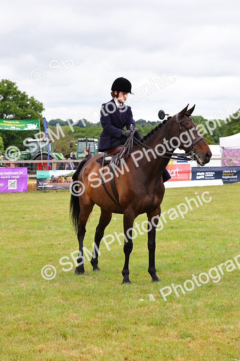 SBM_02835 - Class 9-11 Side Saddle including LIHS Rising Star Ladies Show Horse