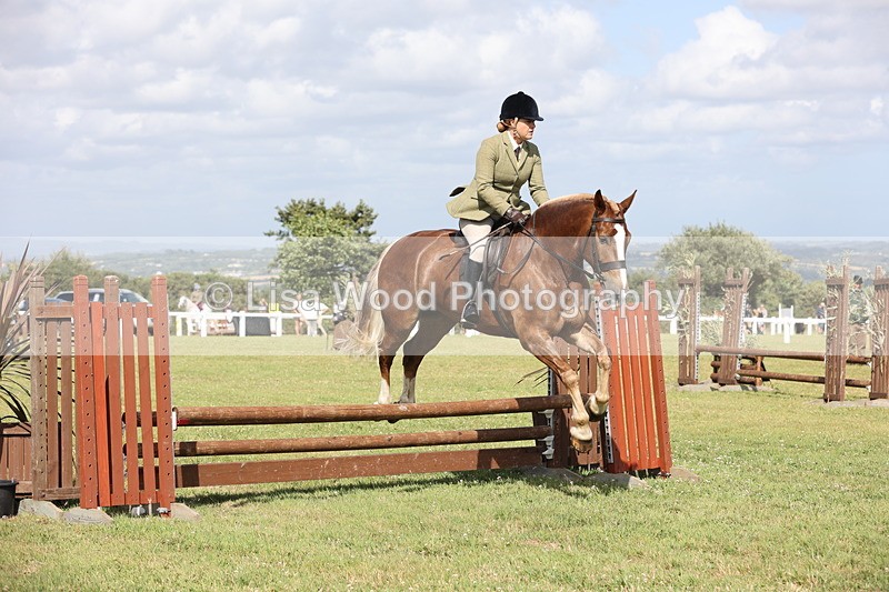 JPP_2513 - Class 20: Working Hunter 70cm