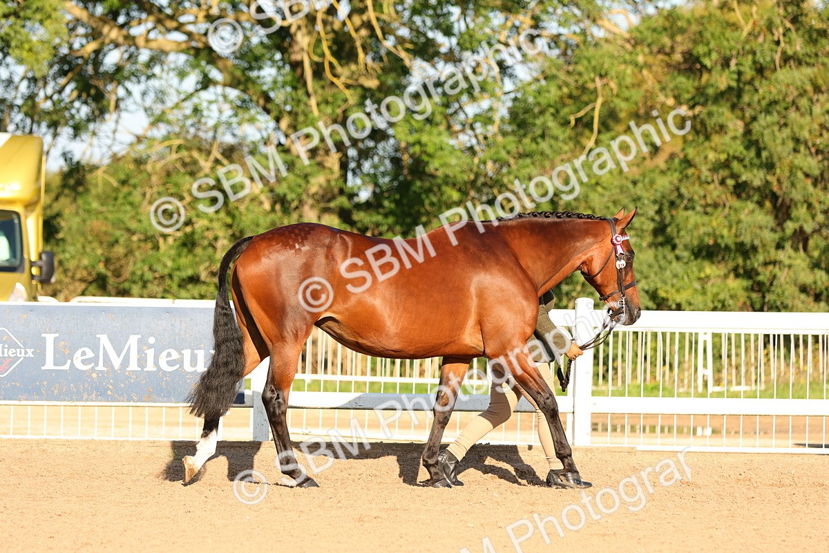 SBM_07953 - Class 201 - Best Turned Out - IH