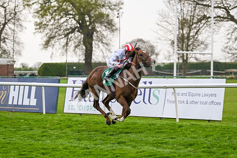 120425-Race 5-Majestic Warrior-1334 - Race 5