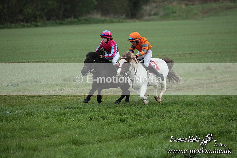 SHETPR 210425 80 - Shetland Ponies Paxford Races 21/04/25