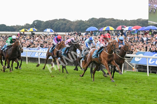 121024-Race 4-Fearless Freddy-3145 - Race 4 3.15pm Play Coral Racing-Super-Series For Free Nursery Handicap