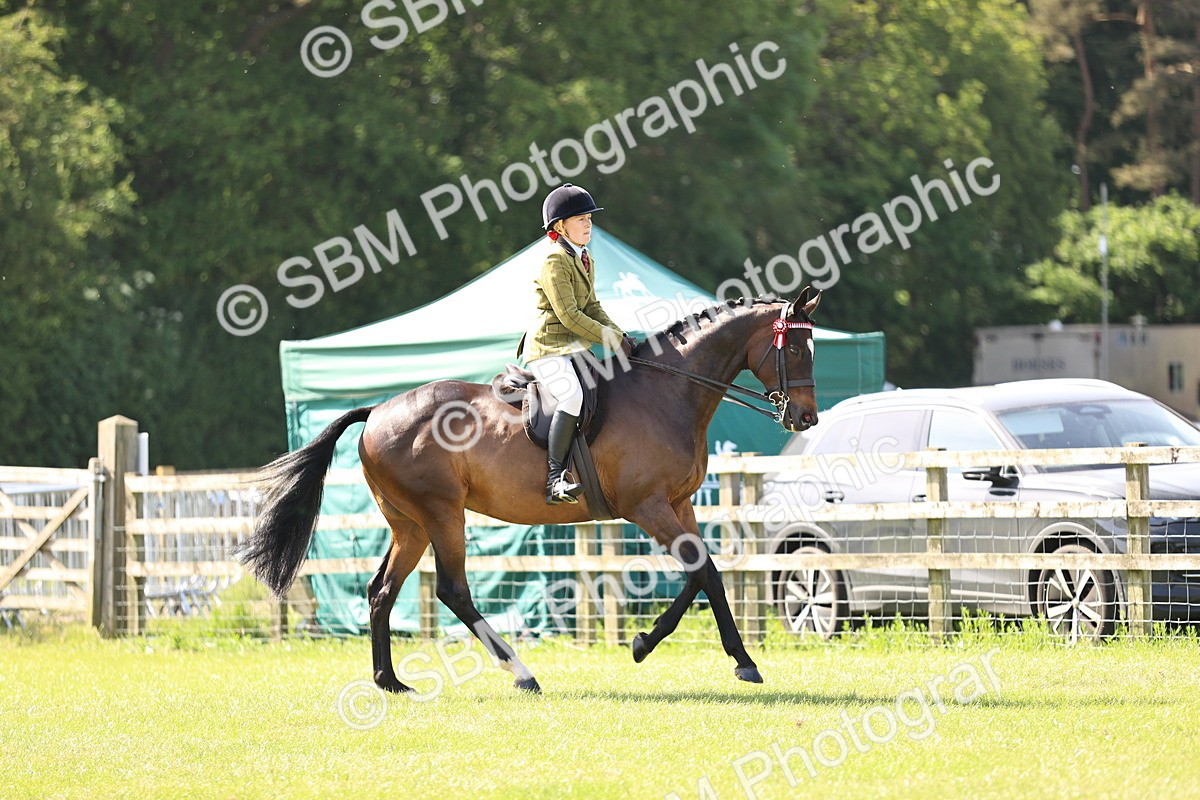 SBM_12989 - Class 75-76 LIHS BSHA Rising Star Hack Riding Horse