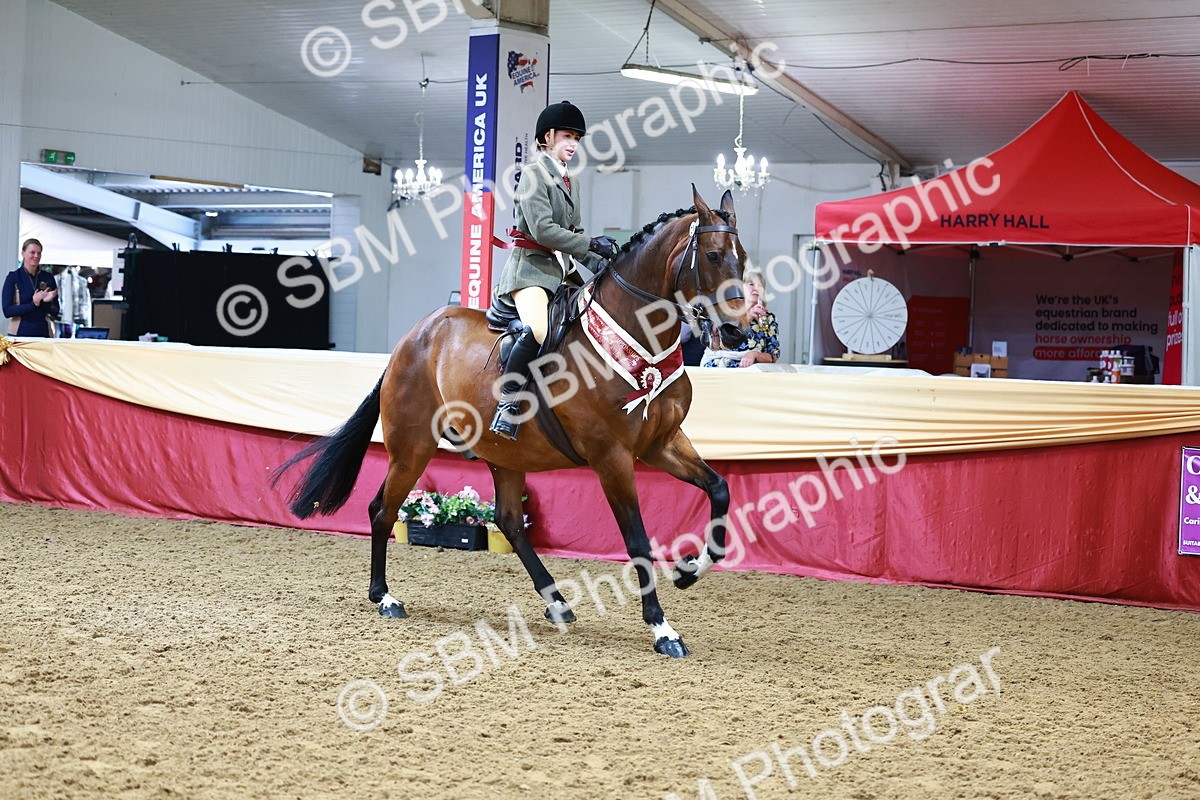 SBM_23235 - Class 905 - Supreme Final - Ridden Veteran