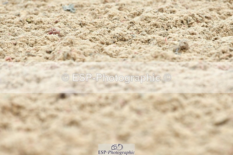 230702A-111231-08647 - Cls 26 Novice 37A