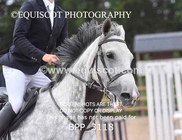 BPP_3118 - CLASS 2 Senior British Novice/ 90cm Open