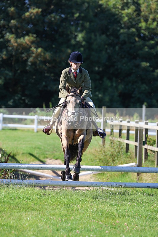 3E7A7746 - Class 2: Open Working Hunter pony