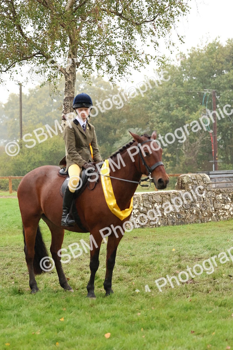 SBM_73144 - Ridden Pony Supreme Championship