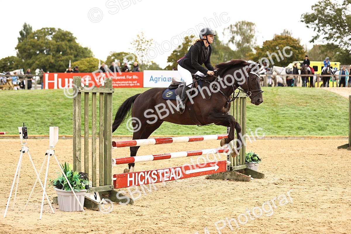 SBM_58470 - J41 - Grand Tour Horse & Pony 95cm