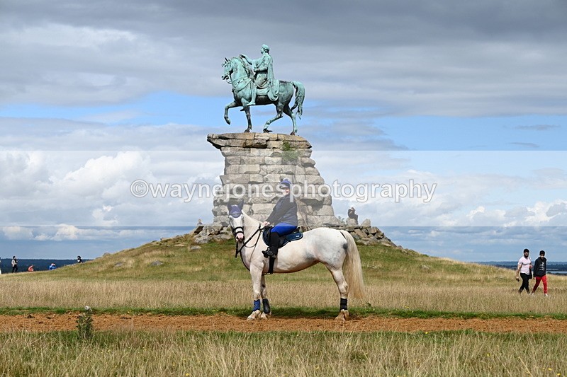 DSC_8941 - Time at Statue 14:33 to 15:10