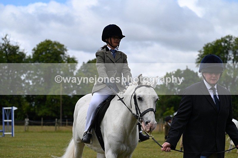 WJ7_4714 - Class 1 Lead Rein Pony