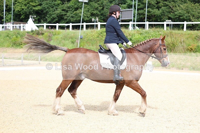 3E7A1131 - Class 1: Intro 2 2024 Section A