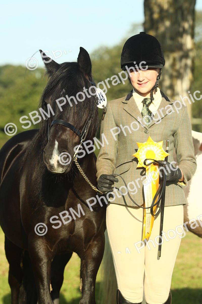 SBM_58487 - S37 - Starters In Hand Showing