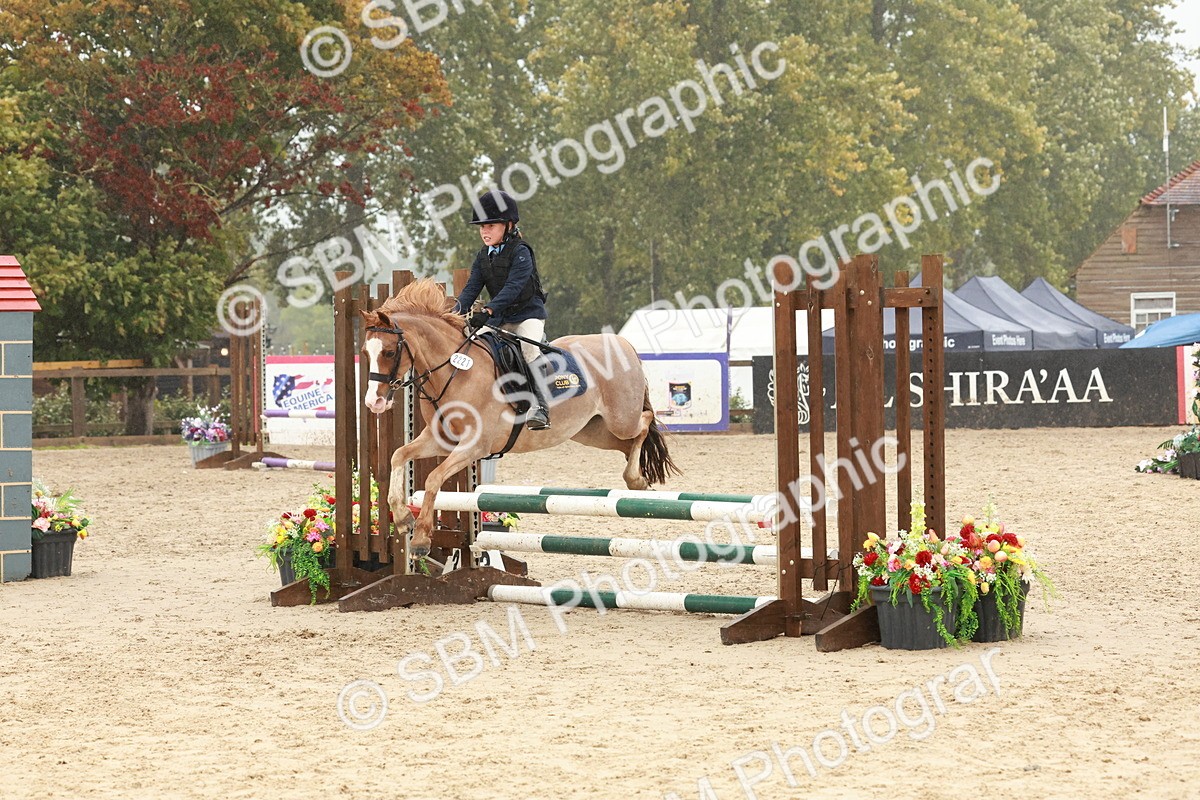 SBM_73337 - Supreme Championship Junior Pony 60cm & 65cm