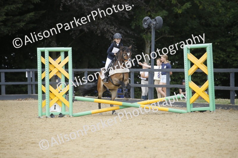 20250622-3888 - 50cm