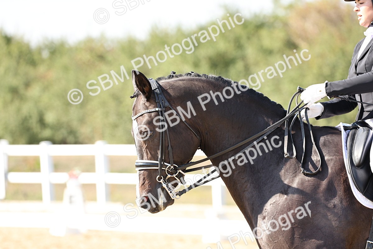 SBM_015324 - Class 9 - Advanced medium 3