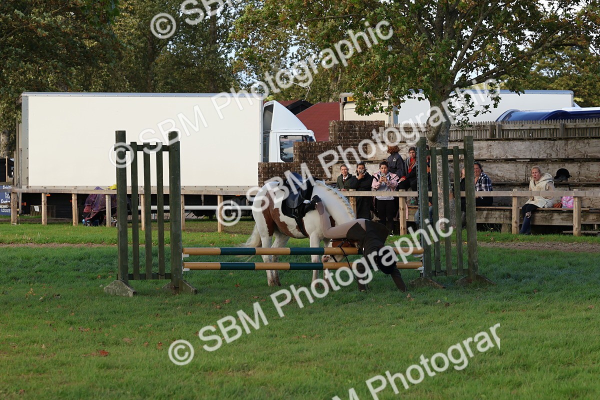 SBM_52573 - S13 - Pony Club Pony