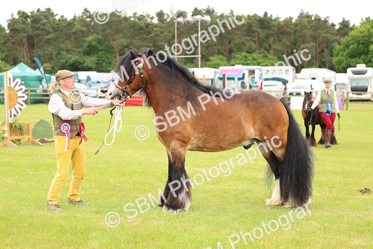 SBM_06318 - Class 39-41 TGCA In Hand and Ridden