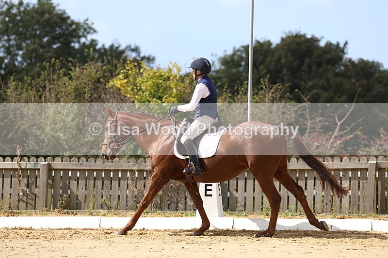 3E7A4028 - Class 9: Novice 6 Section B Championship