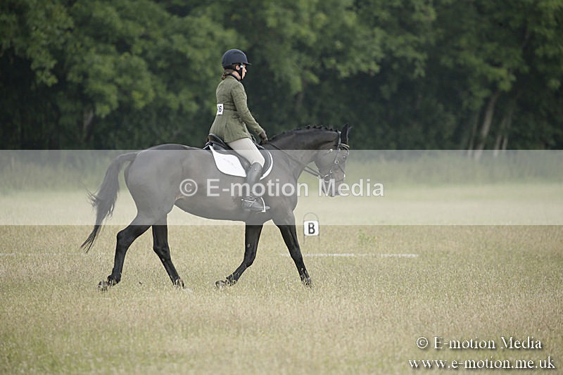 B230619-0144 - Bourne Valley Riding Club Summer Show 23/06/19