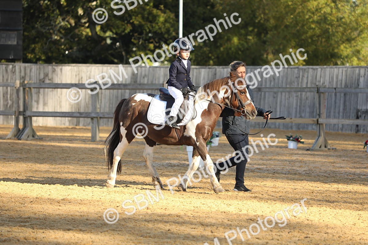 SBM_33697 - D26 - Starers - Lead Rein