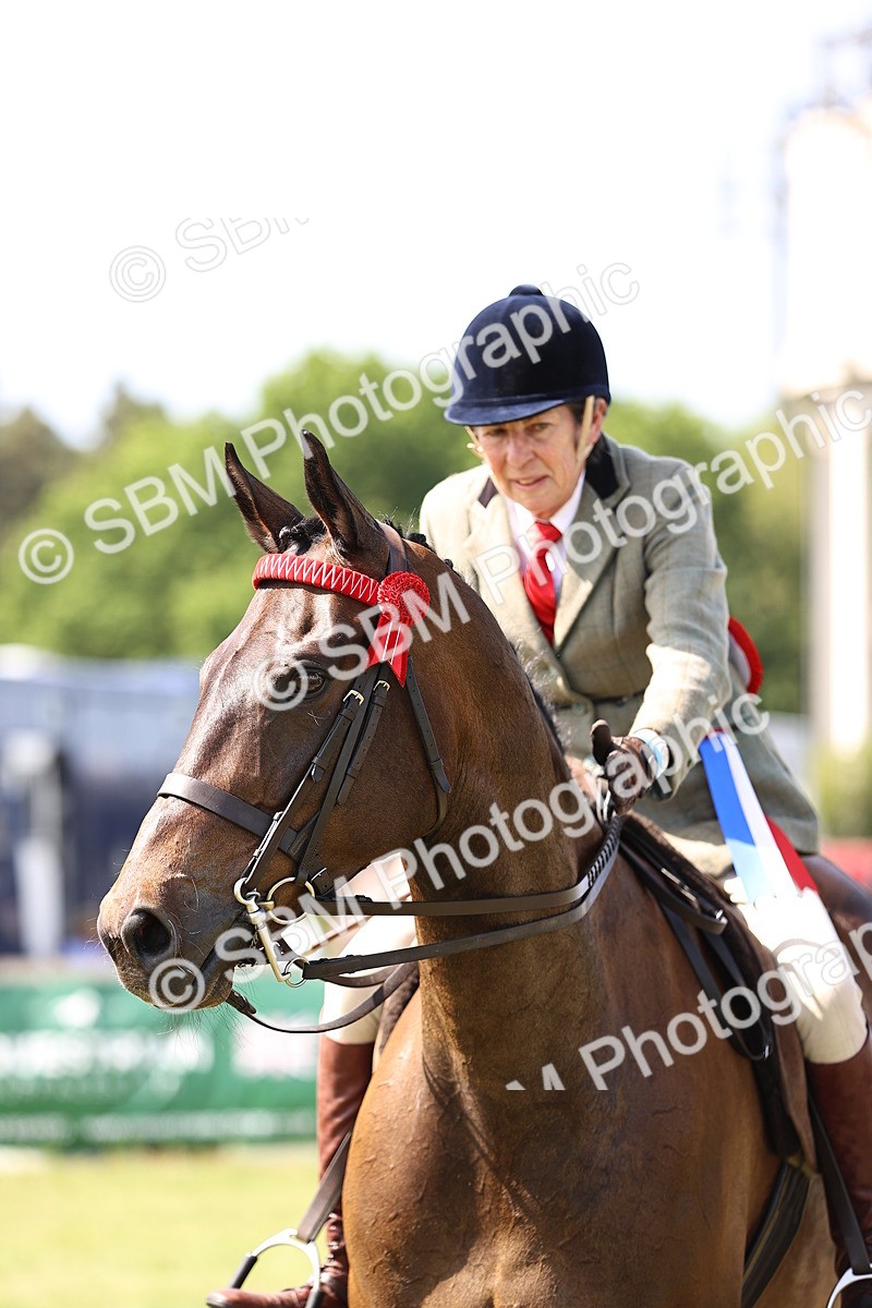 SBM_13082 - Class 75-76 LIHS BSHA Rising Star Hack Riding Horse