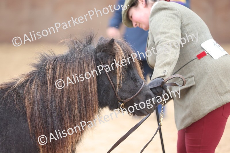 20251109-0246 - Class 11 - 2 and 3 Year Old